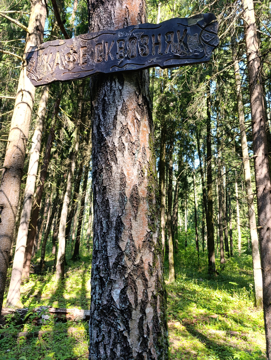 Табличка в лесу