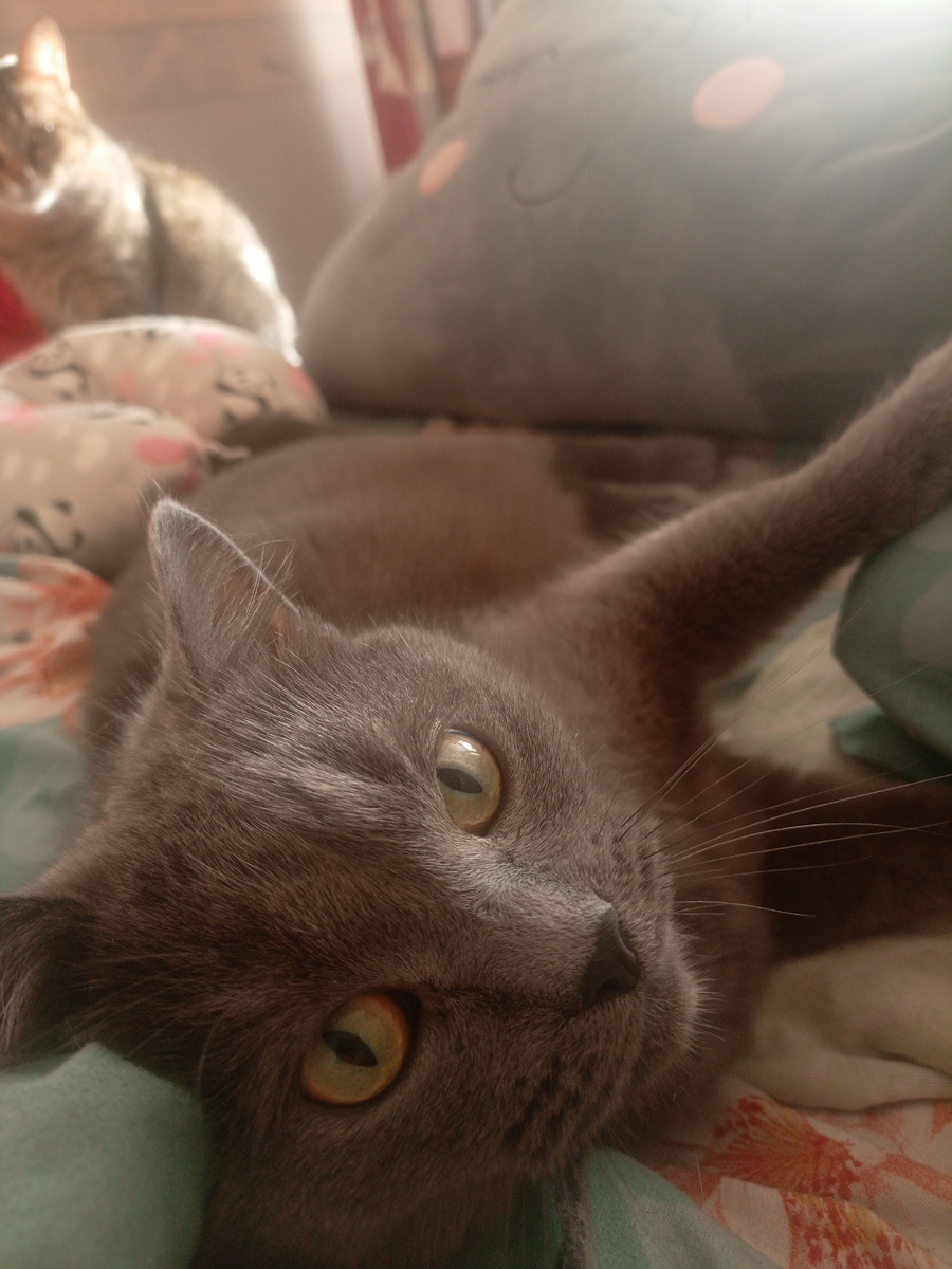 Что я вижу, открыв утром глаза)