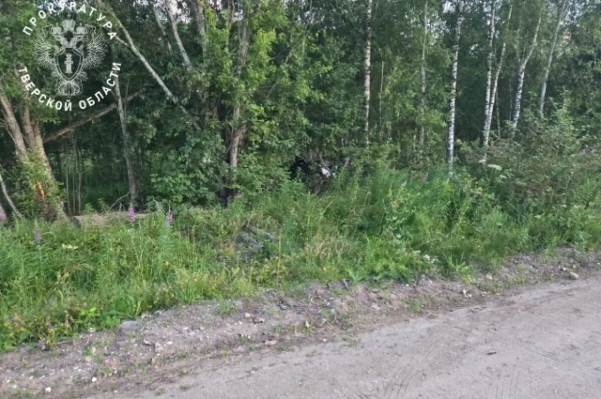    Под Тверью 12-летняя девочка села за руль квадроцикла и погибла в ДТП