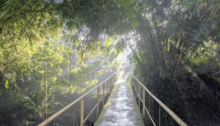     Фото: Indra Azzikri on Unsplash