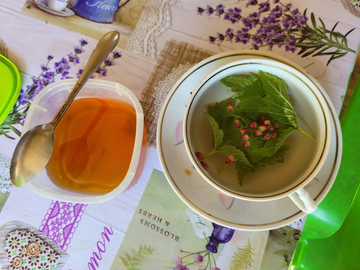 Травяной чай из листьев смородины с барбарисом