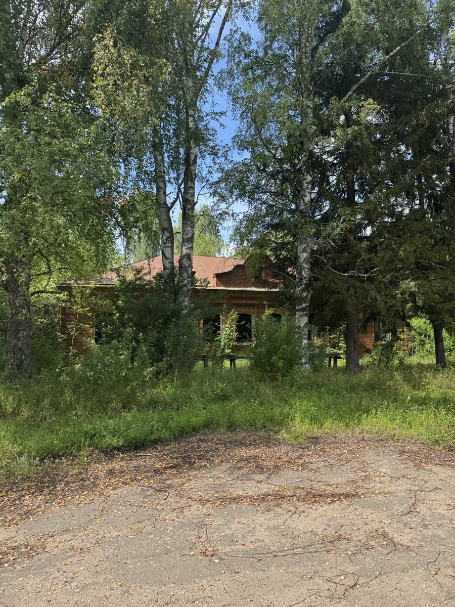 Школа, в которой я училась