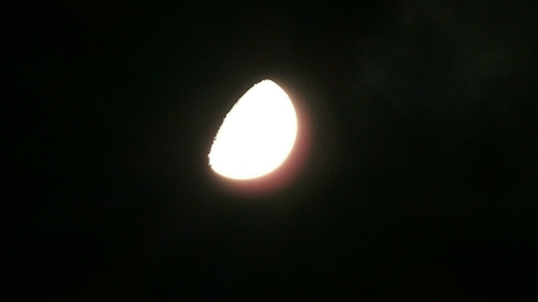    Victor Lisitsyn/Globallookpress