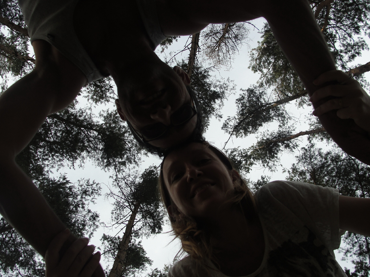 Белорусский лес - 2013