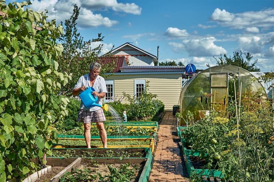    Shutterstock/FOTODOM