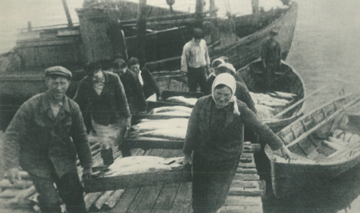 Выгрузка улова 