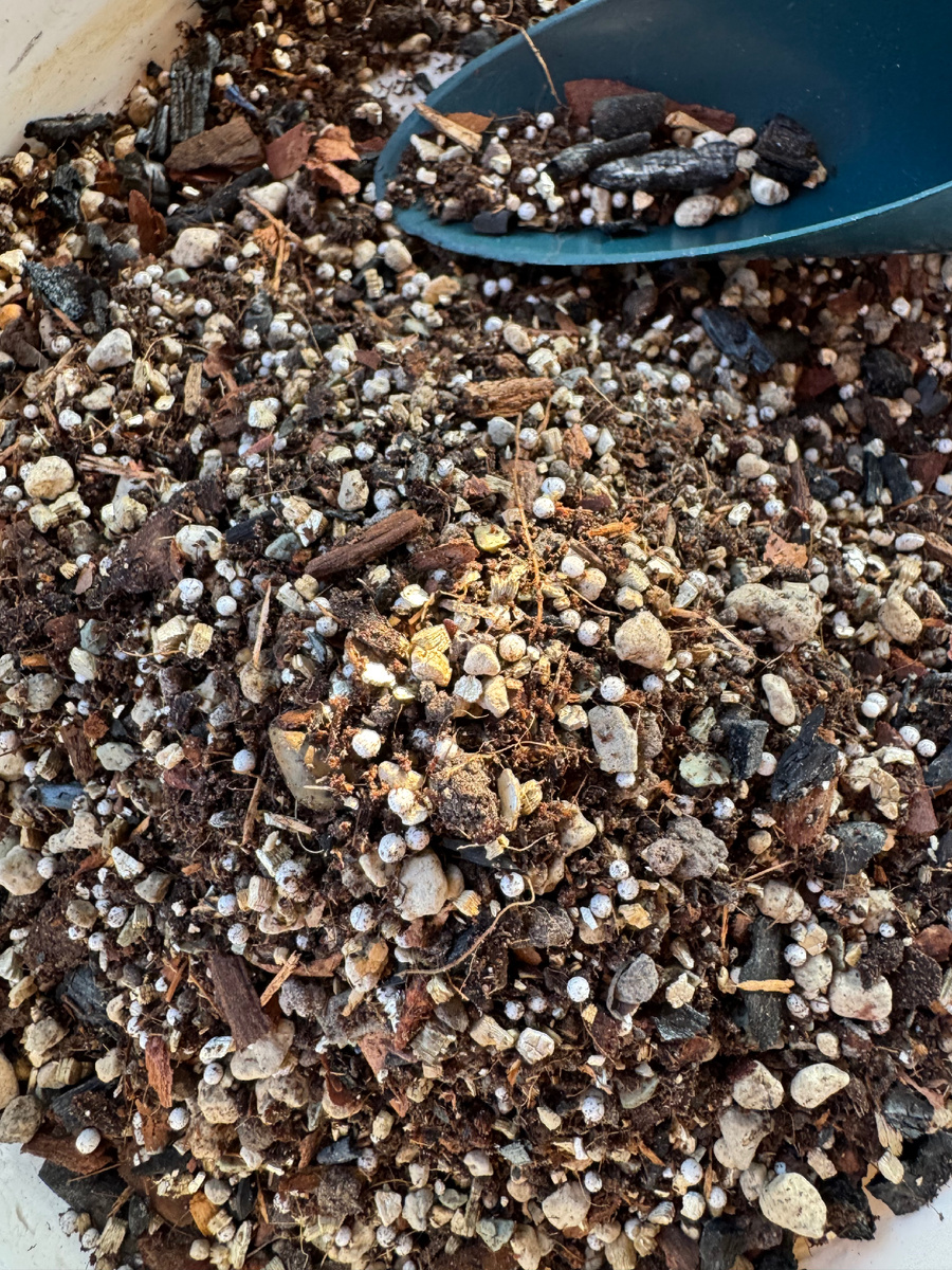 Готов к использованию мой авторский субстрат 