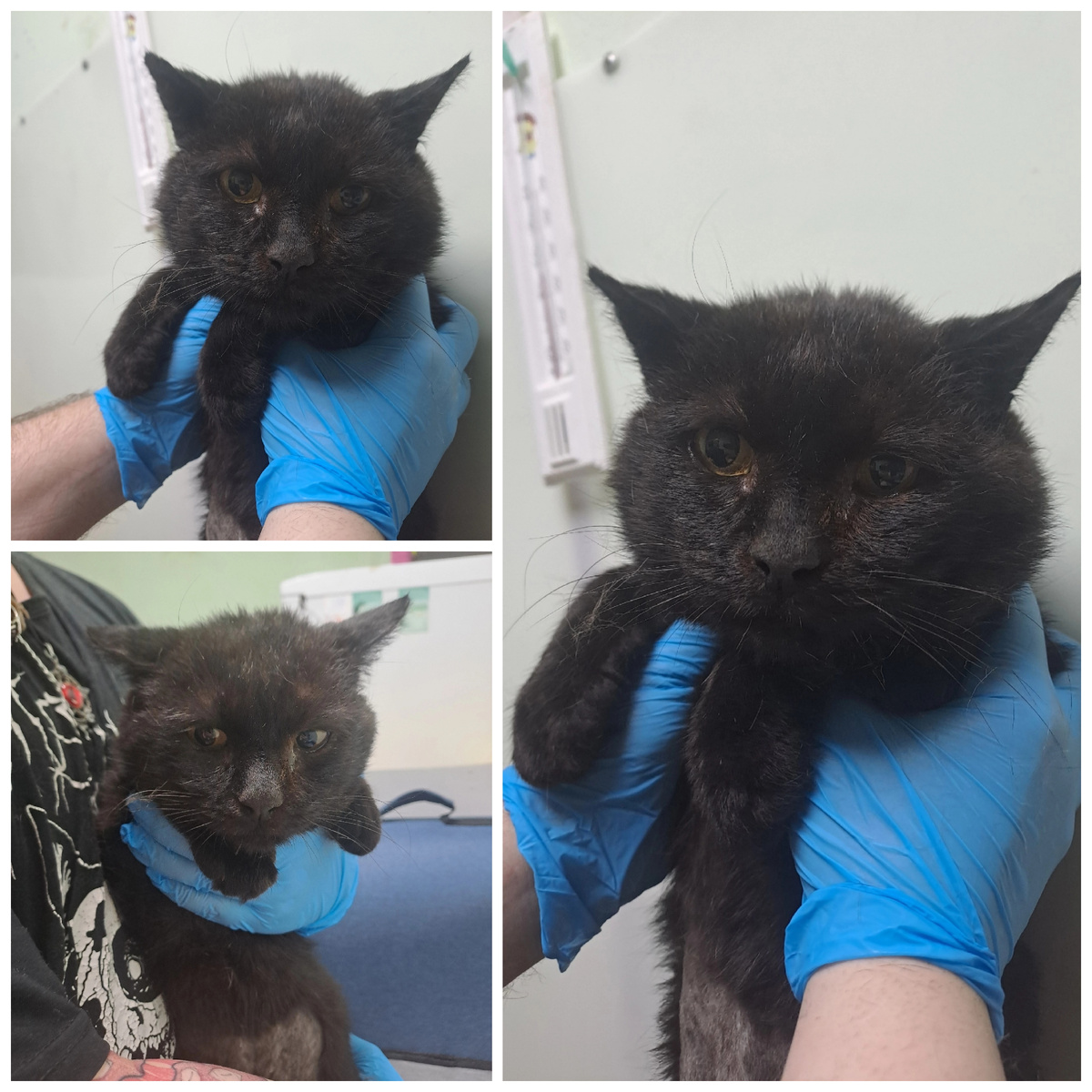 Блэнда спасли с улицы.