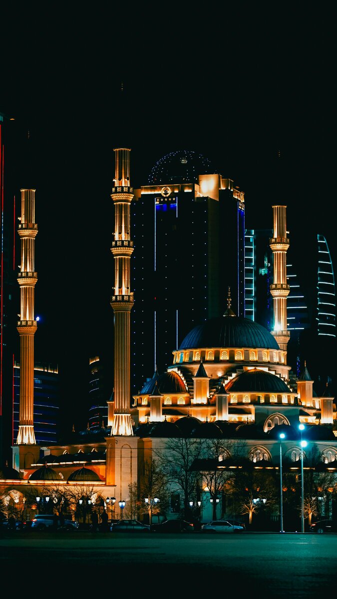 Фотограф: Shamil Muzheidov: https://www.pexels.com/ru-ru/photo/20118839/