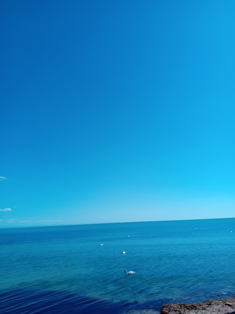Авторское фото.