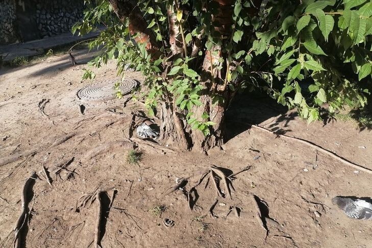    Фото: паблик "Калининский район" "Вконтакте"