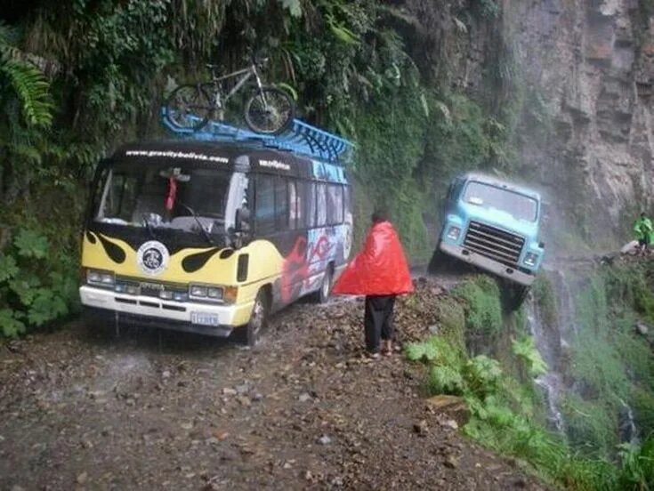 Фотография взята из источника yandex.ru