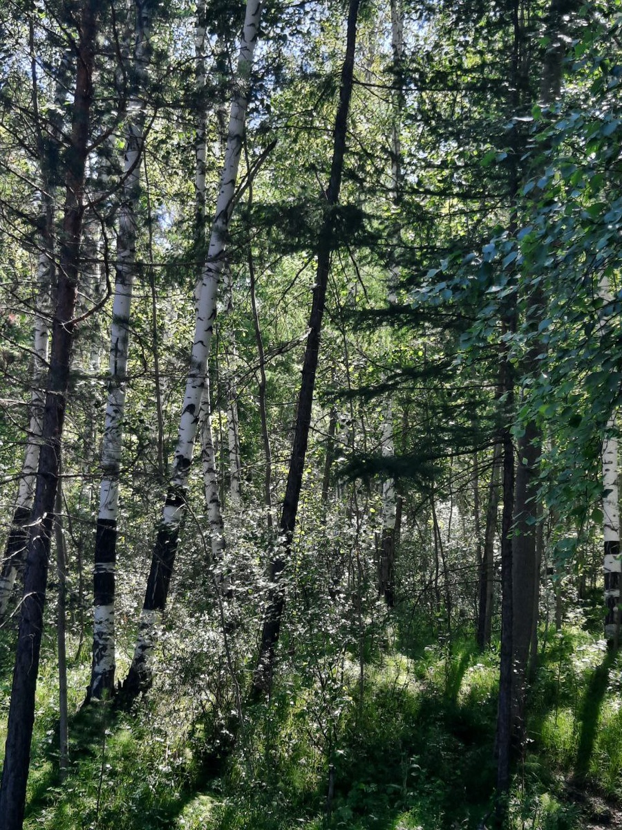 Фото автора.