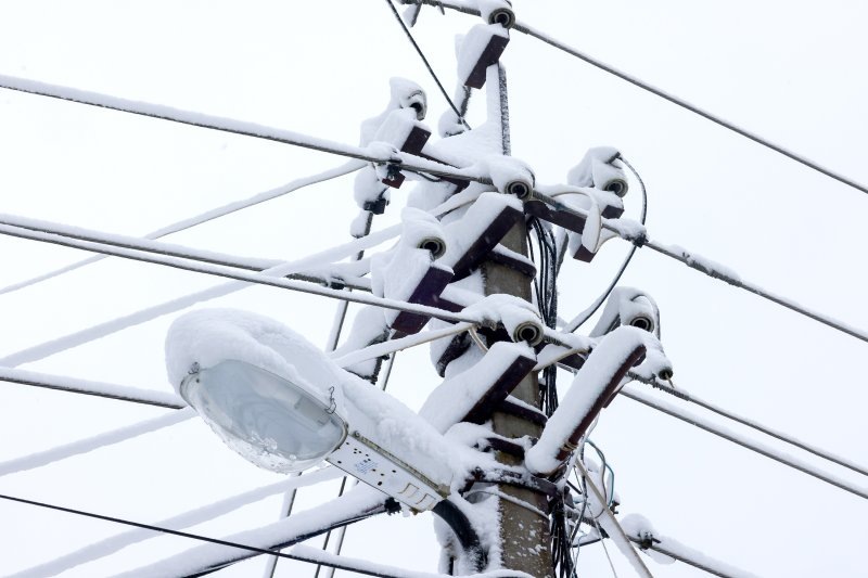 Фото: Владимир Гердо/ТАСС