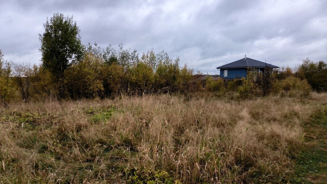    Фото: Maksim Konstantinov/Global Look Press