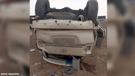    Фото: соцсети