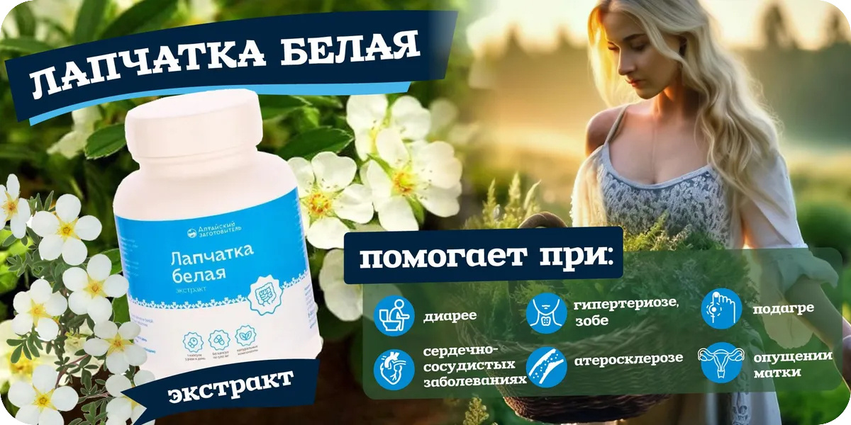 «Алтайский заготовитель» Лапчатка белая