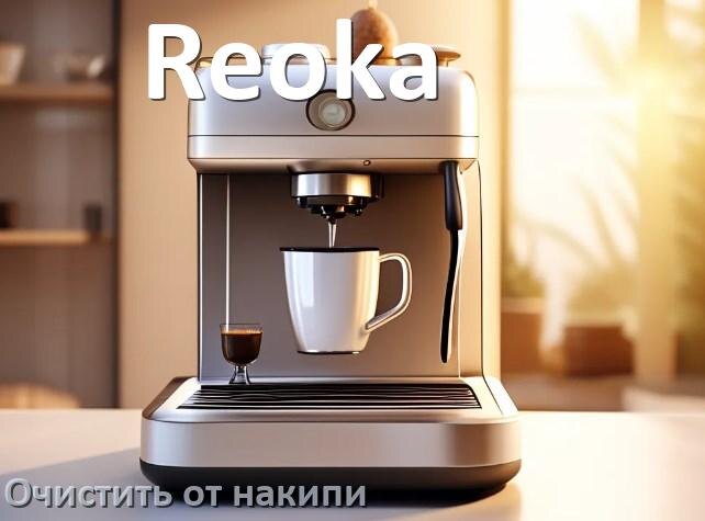 
Инструкция по очистке от накипи кофемашины Reoka