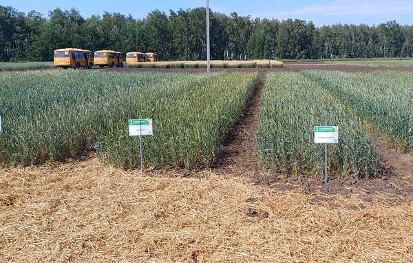 Пресс-служба Омского АНЦ