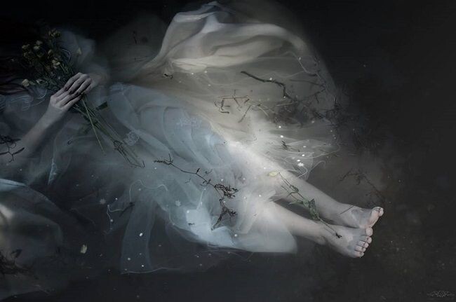 Изображение взято из открытых источников интернета. 