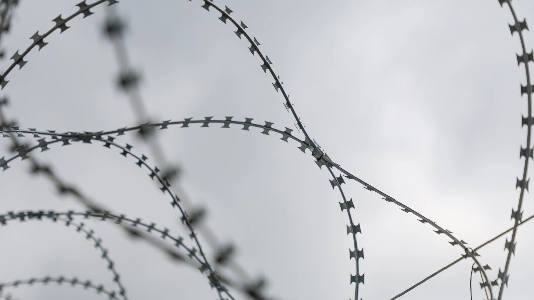    Фото: Belkin Alexey/ Global Look Press