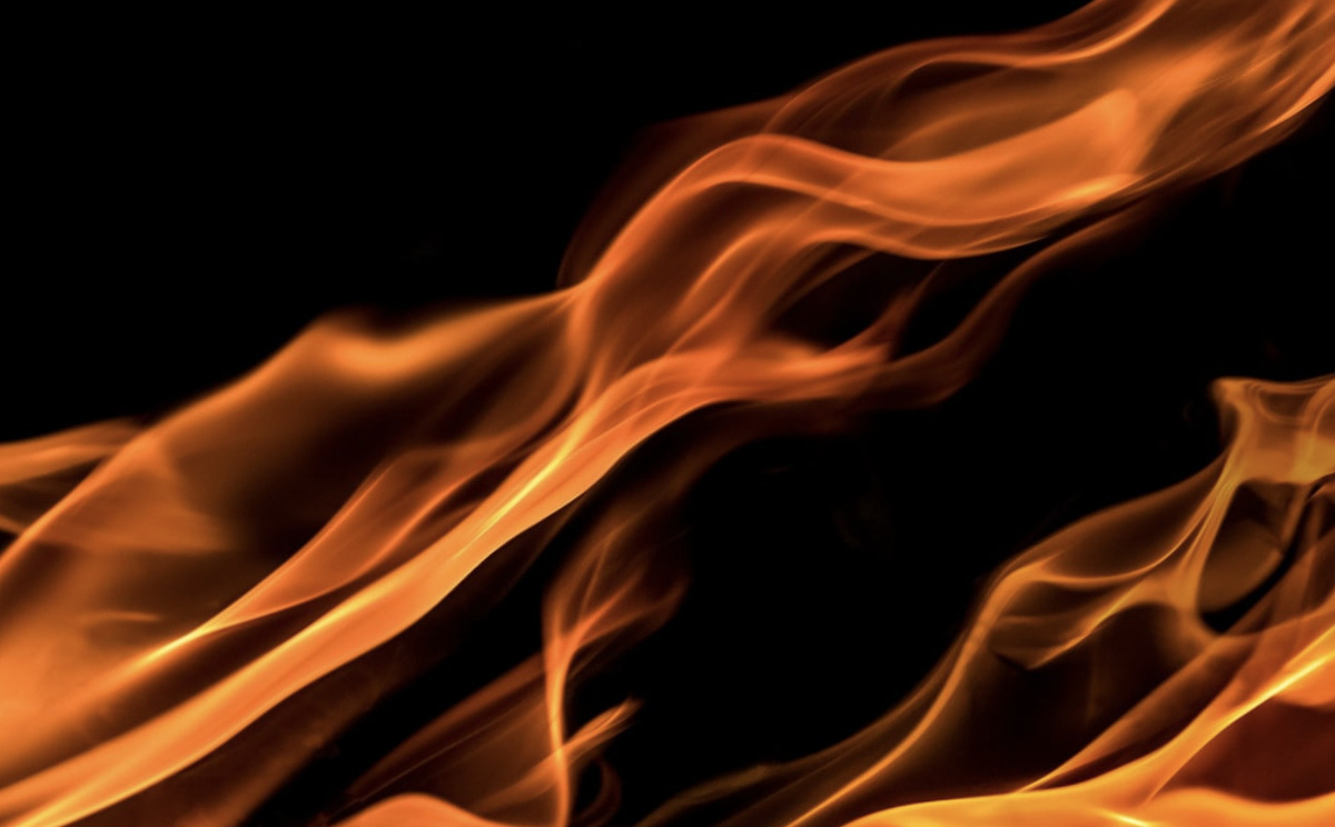    Pixabay.com Ольга Шмырева