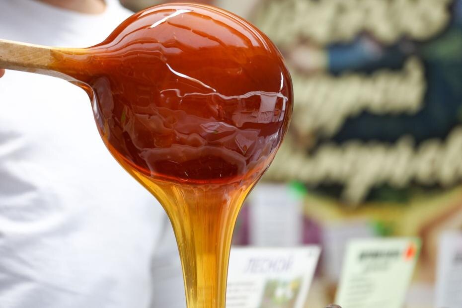    Наталья Шатохина/NEWS.ru