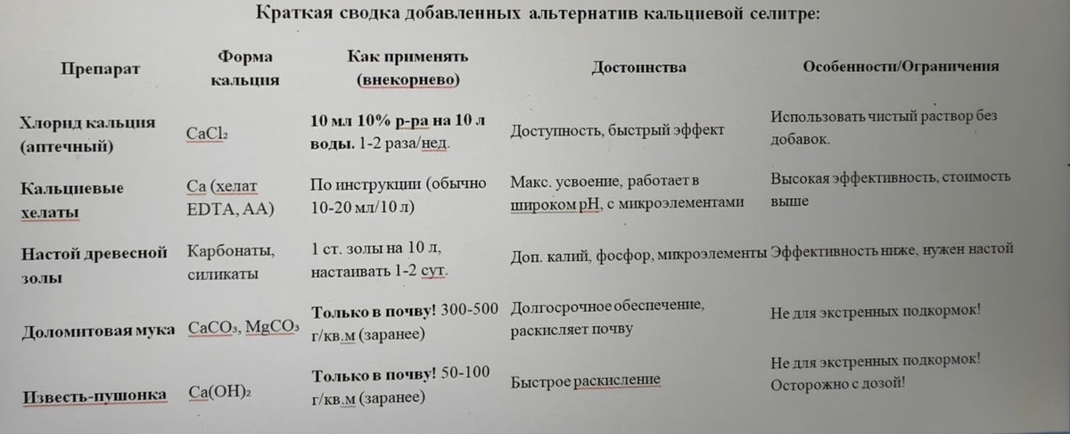 Таблица -шпаргалка. Фото Натальи Мироновой