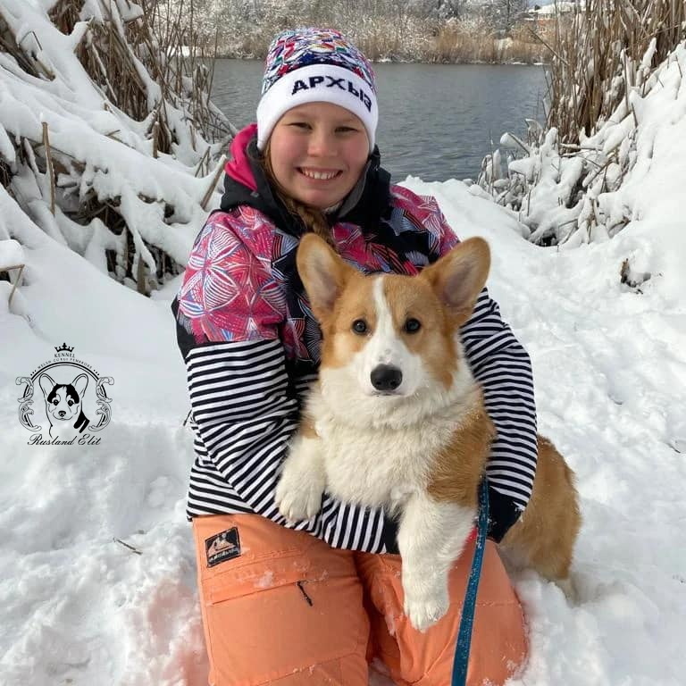 На фото Rusland Elit CHICAGO и его милая владелица!