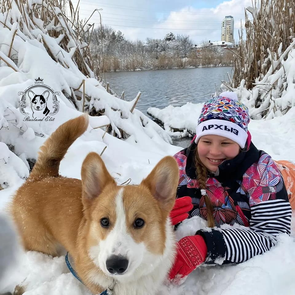 Душа радуется, когда мои собаки любимы и счастливы!😍🐶 Rusland Elit CHICAGO и его милая владелица!