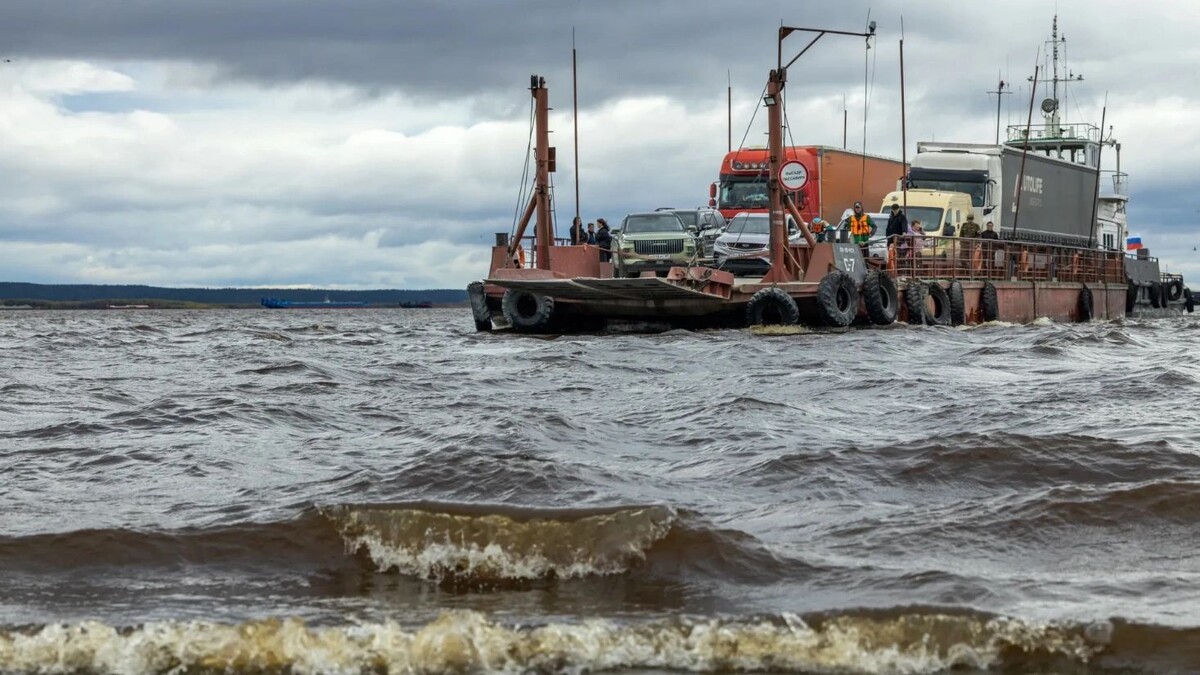    Фото: Фёдор Воронов / «Ямал-Медиа»