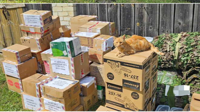 Фото: Юрий Намлиев/ВКонтакте