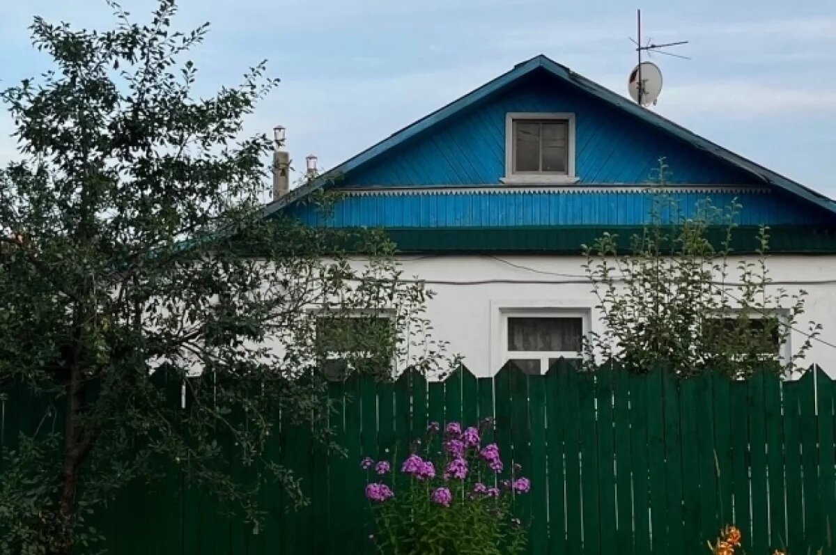    В Омске хотят разработать дизайн-код для частных домов