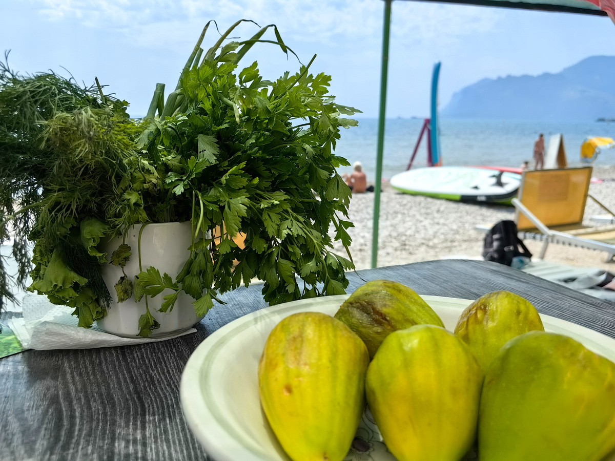 Сегодня. Фото автора канала
