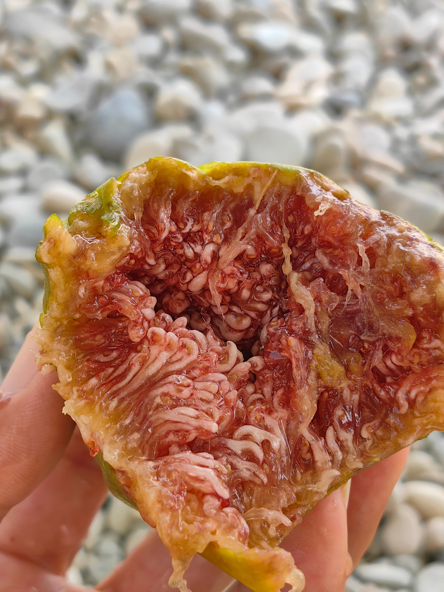 Сегодня. Фото автора канала 