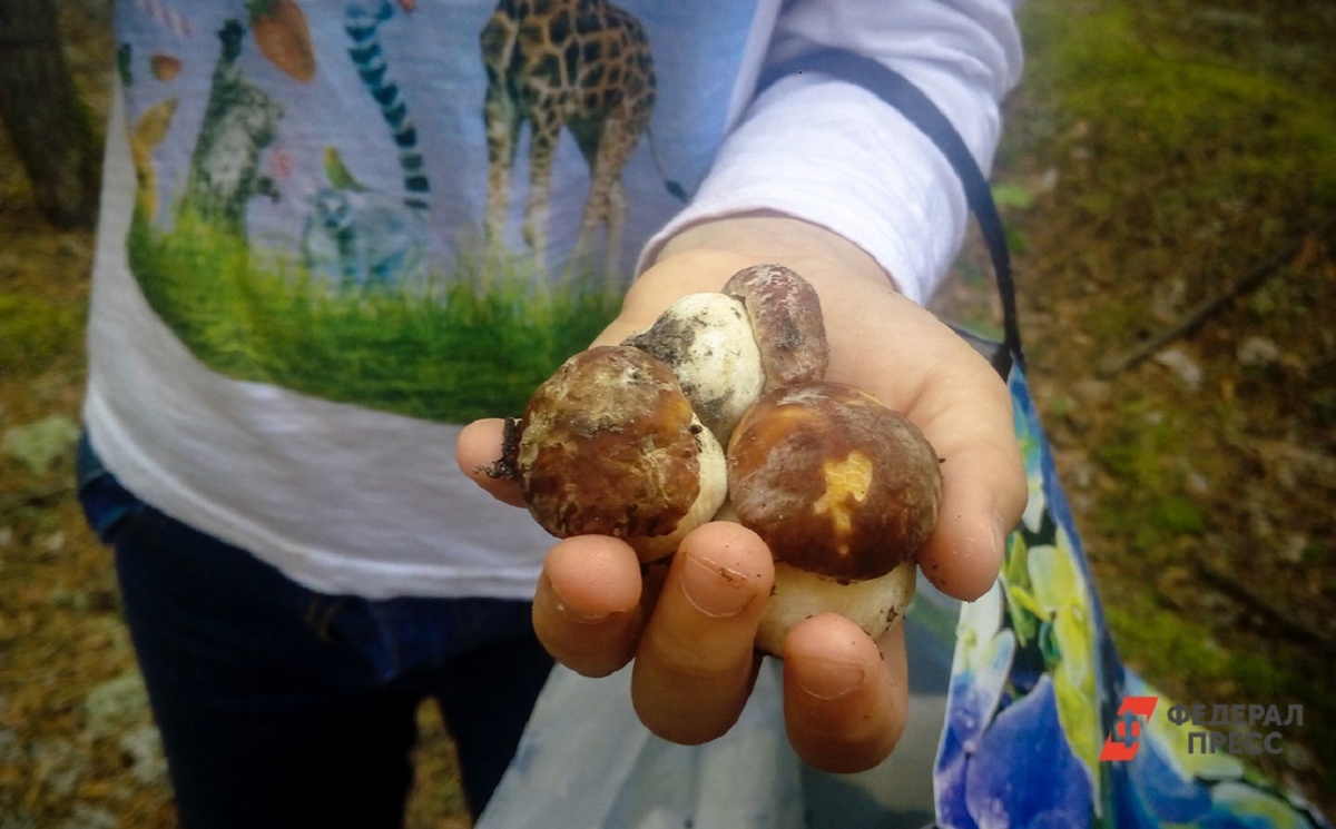 Народные методы проверки не только не работают, но и могут стоить жизни.  Фото: ФедералПресс / Дарья Сеймовская