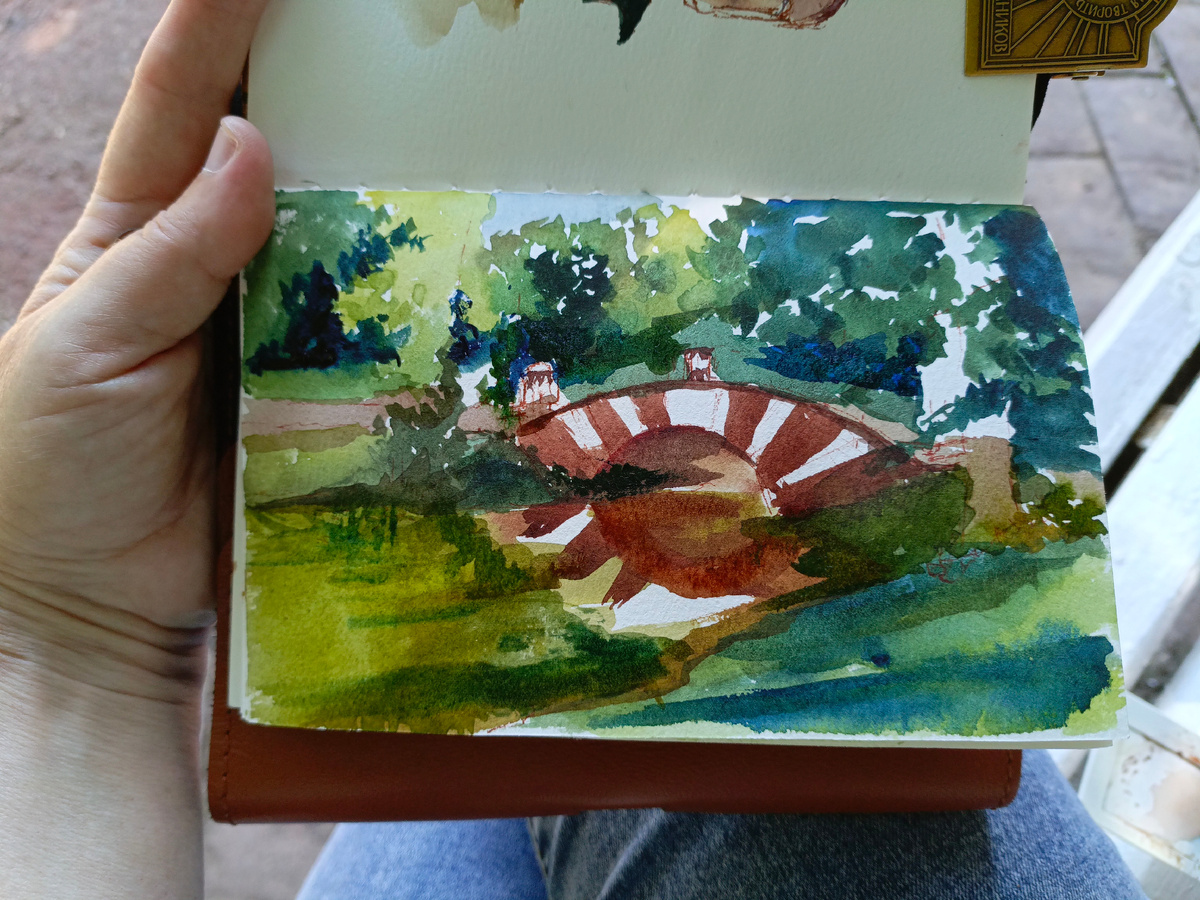 Быстрая  зарисовка  пока тень не ушла. Осталось только стволы деревьев добавить