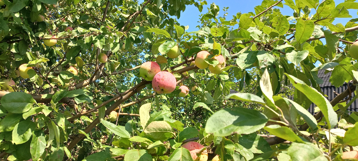 Фото личное