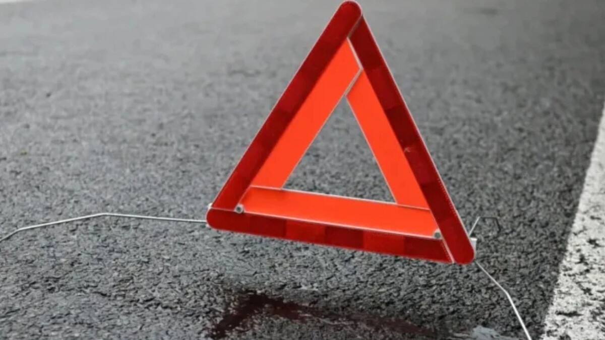    Фото: Mario Hoesel / Shutterstock / Fotodom