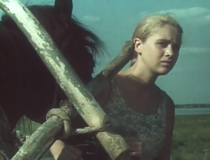 Кадр из фильма