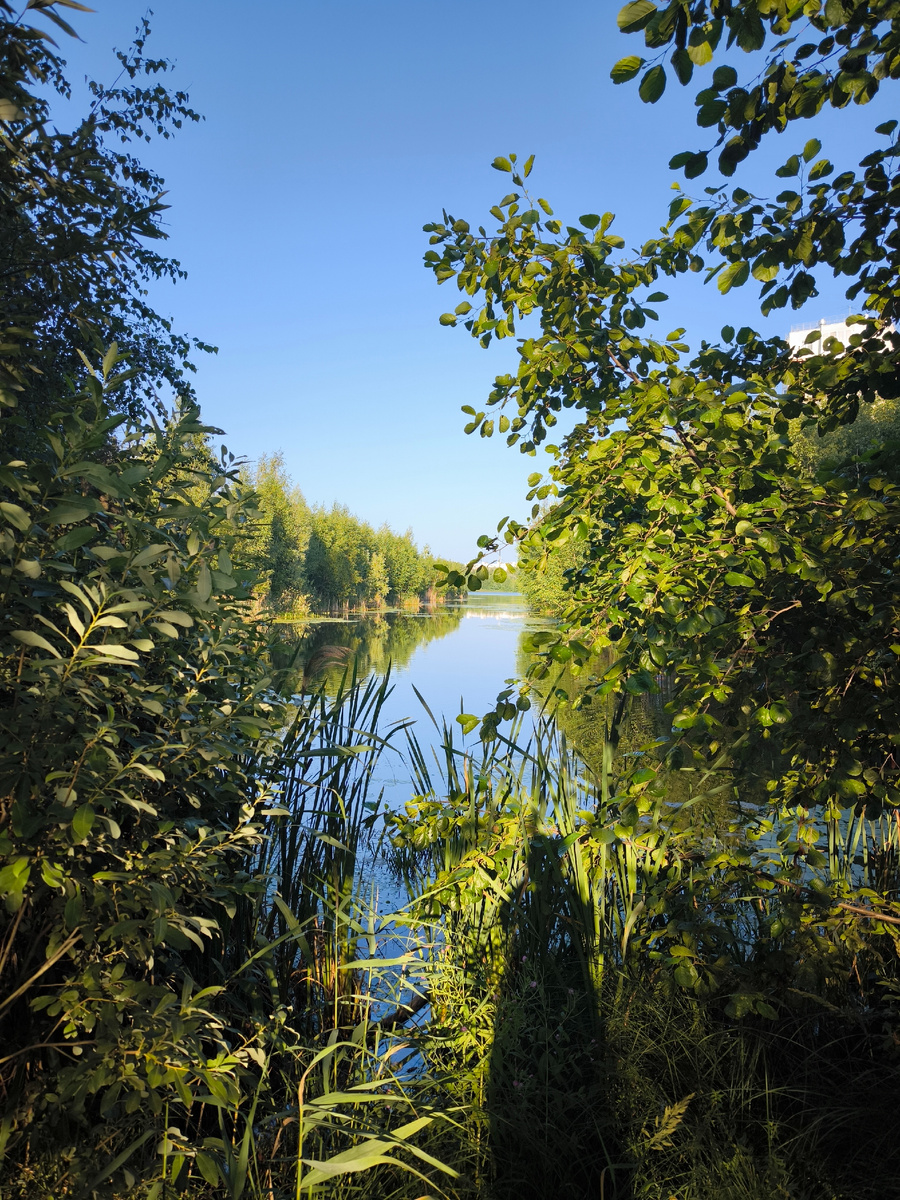 Личное фото 