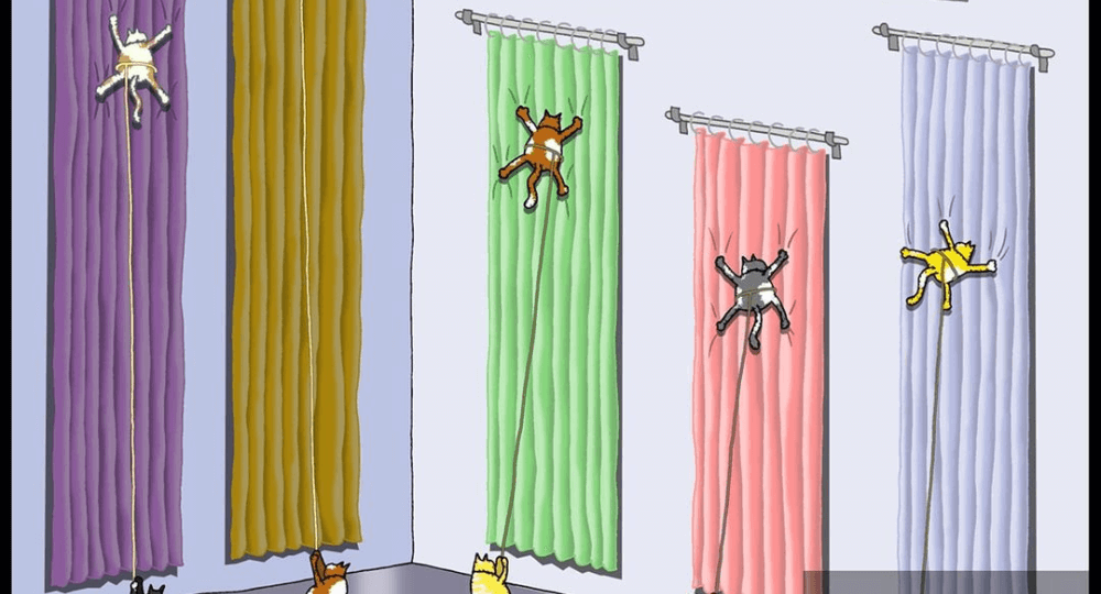 20 карикатур из Австралии от мастера юмора для взрослых