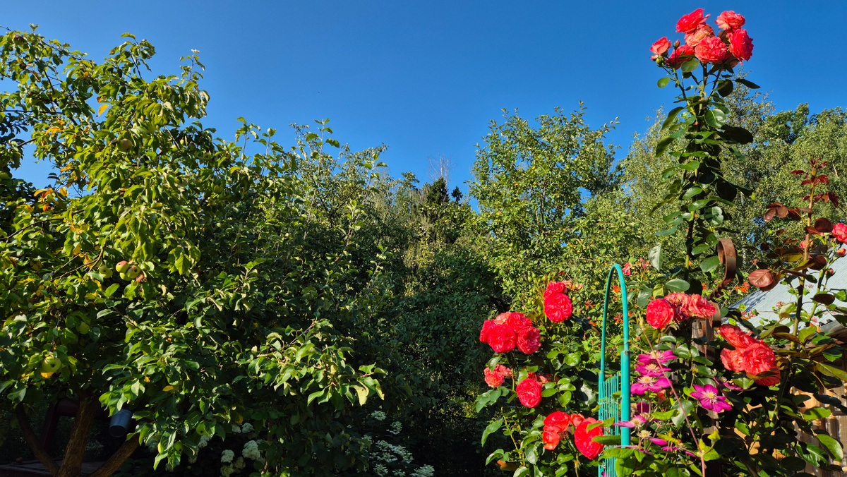 Голубое небо