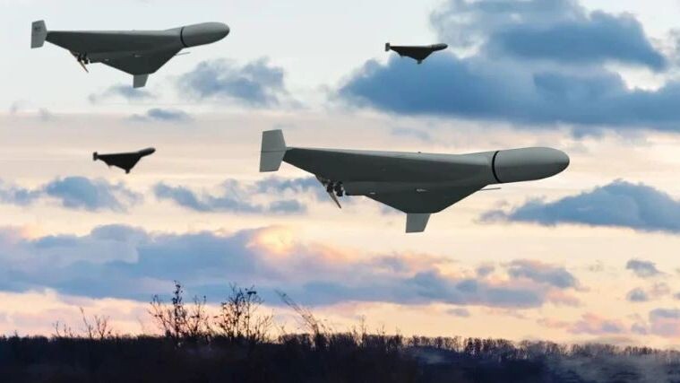    Фото: Anelo/Shutterstock/Fotodom