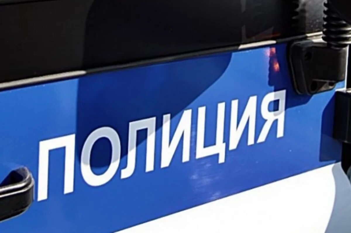    В Самарской области полицейские охотились на наркофермеров