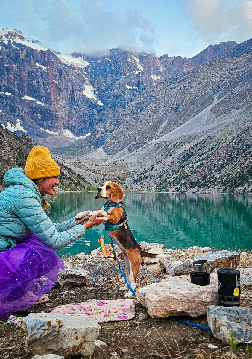 Моя маленькая компаньонка