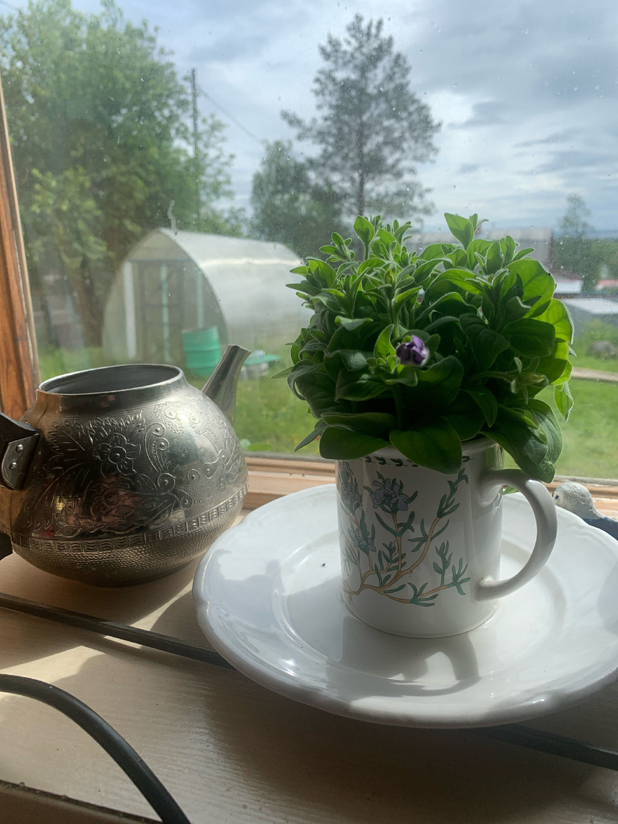 Заглядение