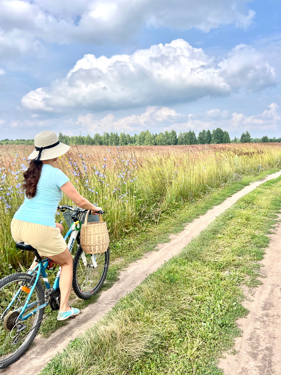 Еду за Иван-чаем