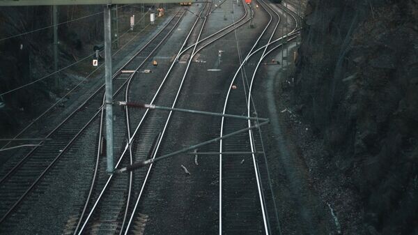    © Фото : Pexels/Aleks Magnusson