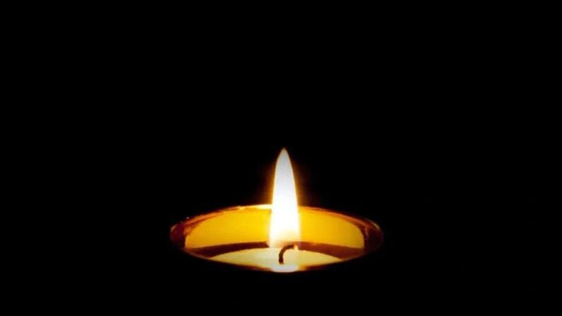    Фото: Avanta/Shutterstock/Fotodom